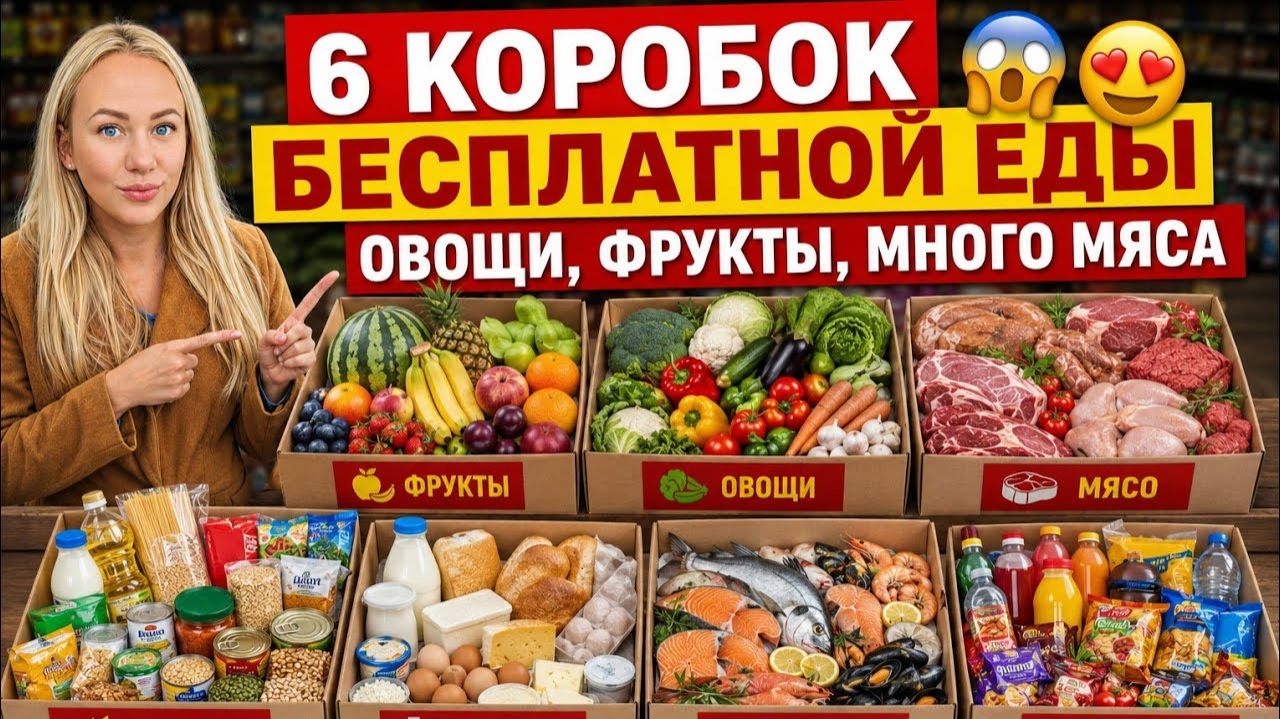 Лиса в Америке  - Я была не готова к этому