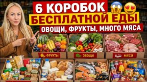 Лиса в Америке  - Я была не готова к этому