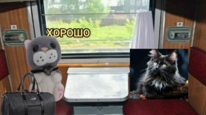 Фильм История котят и не только 6 серия