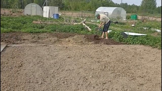 На меня напала гадюка 😳 смотреть онлайн