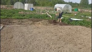 На меня напала гадюка 😳