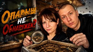 В Данаре Опарыши - Нашли или НЕ Нашли? ( Трейлер )