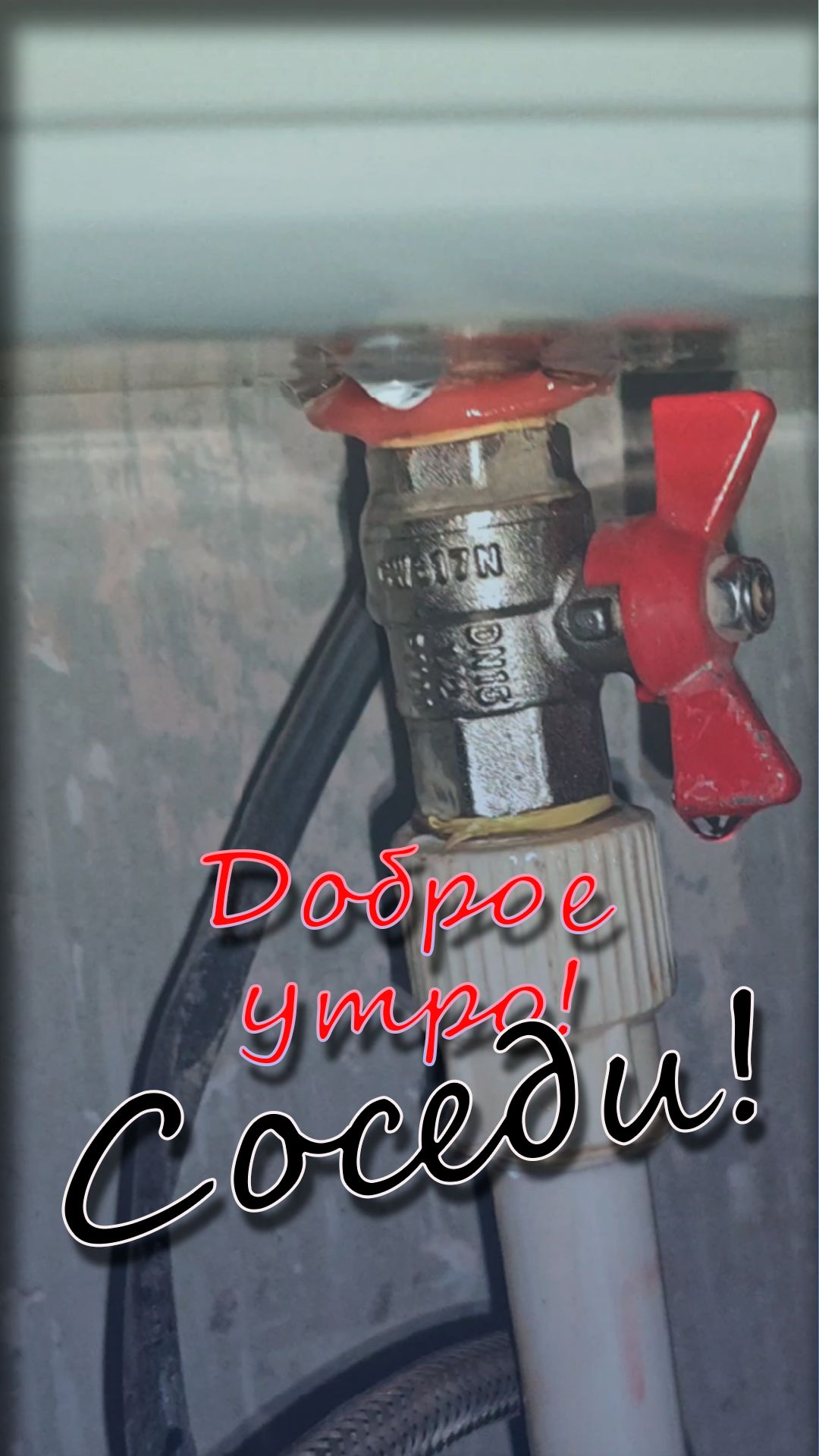 Доброе утро в субботу!