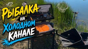 ФИДЕРНАЯ РЫБАЛКА И ОТДЫХ С ДРУЗЬЯМИ НА ХОЛОДНОМ КАНАЛЕ. ПРИЕХАЛИ НА ЛЕЩА, А ТУТ ПРИПЛЫЛ ОН....