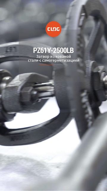 PZ61Y-2500LB Стальной задвижковый клапан с ковкой и самоуплотнением-CLDG