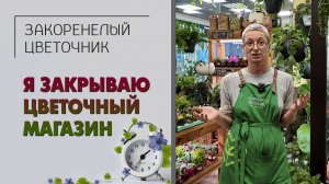 Я закрываю свой цветочный магазин. Что на самом деле происходит в цветочном бизнесе прямо сейчас.