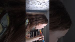 Asmr / stash kis 🐾