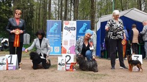 10.05.2026, СПб. Клуб «Кеннел-Клуб СПб». Выставка собак CAC 9 группы FCI