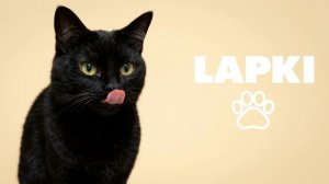 LAPKI