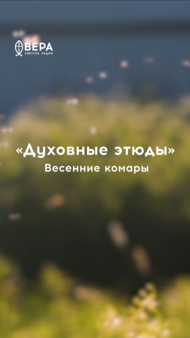 Комары — напоминание о падении праотцев