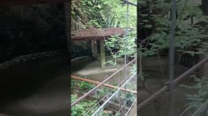 Черниговка, Ацапцха