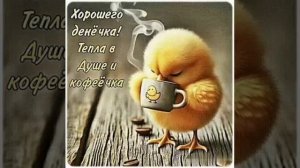 И кофеёчка! ☕