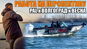 Доработка после PAL с НЮАНСАМИ Весеннего Спиннинга | Нижняя Волга и РЫБАЛКА Весной в Волгограде