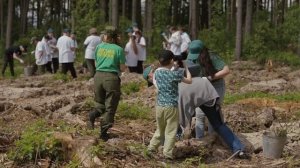 Сегодня «Сад памяти» в Истре пополнился несколькими тысячами молодых деревьев