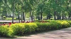 БРАВЕНЬКАЯ ЭТО ЗОЛОТАЯ ПРАВДИВАЯ ДЕВОЧКА