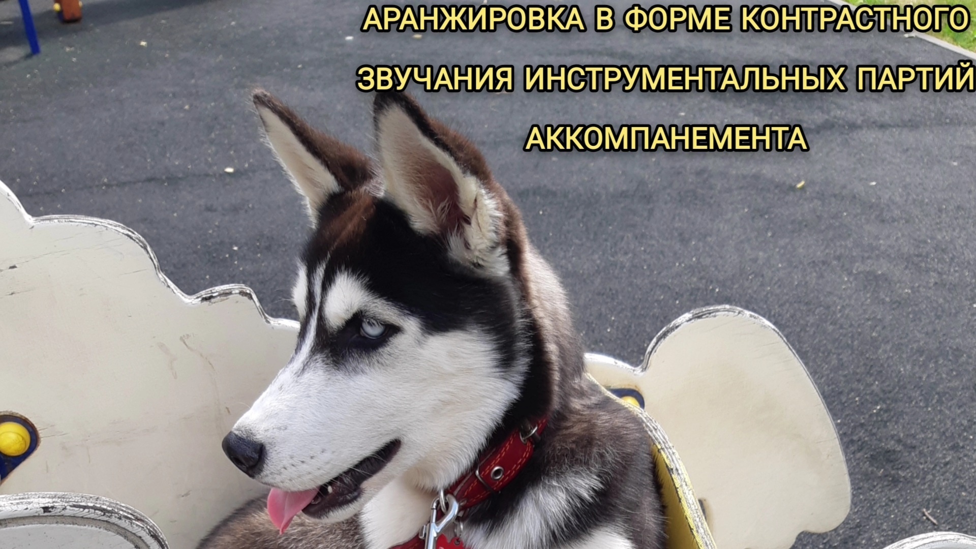 Предмет: современная звукорежиссура,3 курс.Музыкальное звукооператорское мастерство