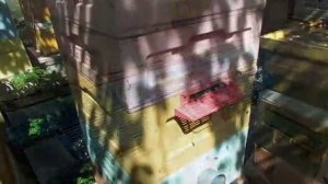 почему на пасеке не бывает весеннего меда а пчелы постоянно роятся , ответы на вопросы , 16.05.2026