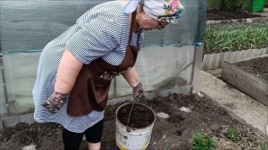16.05.26. Видео от 14.05. Посадочный марафон продолжается. Маша искупалась. Дед любуется.