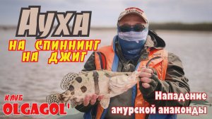 Ауха на джиг на спиннинг