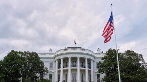 Пока Трамп возвращается в Вашингтон из Китая, Белый дом атаковали пчелы