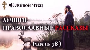 ОНА УЗНАЛА ТАЙНУ МУЖА, КОТОРУЮ ОН СКРЫВАЛ 16 ЛЕТ... ЛУЧШИЕ ПРАВОСЛАВНЫЕ РАССКАЗЫ часть 78