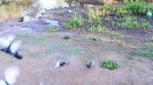 Моё первое видео по монтажу,ещё учиться и учиться.Один день у внуков.