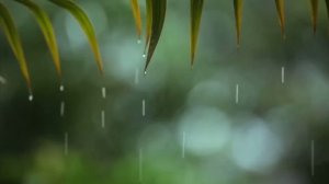 Расслабляющие звуки дождя ☔ слушаем музыку дождя