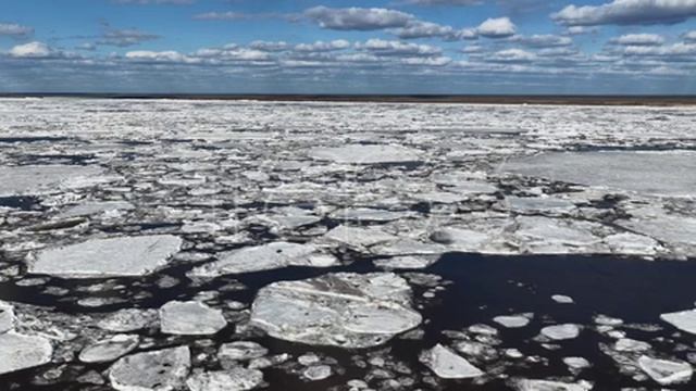 Ледоход на реке Лене смотреть онлайн