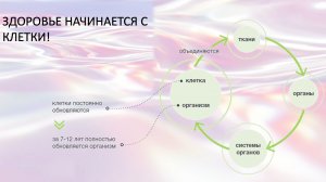 Концепция здоровья 16.05.26 Татьяна Баулина