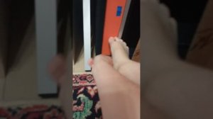 хоррор 5 ночей с тигром