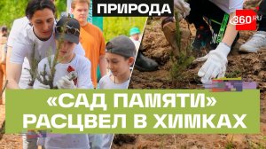 Деревья вместо слов: эколого-патриотическая акция «Сад памяти» прошла в Химках