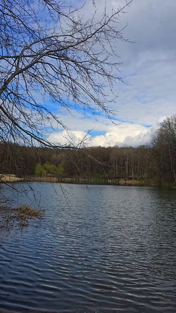 Пруд в Маршалково, город Строитель, Белгородская область