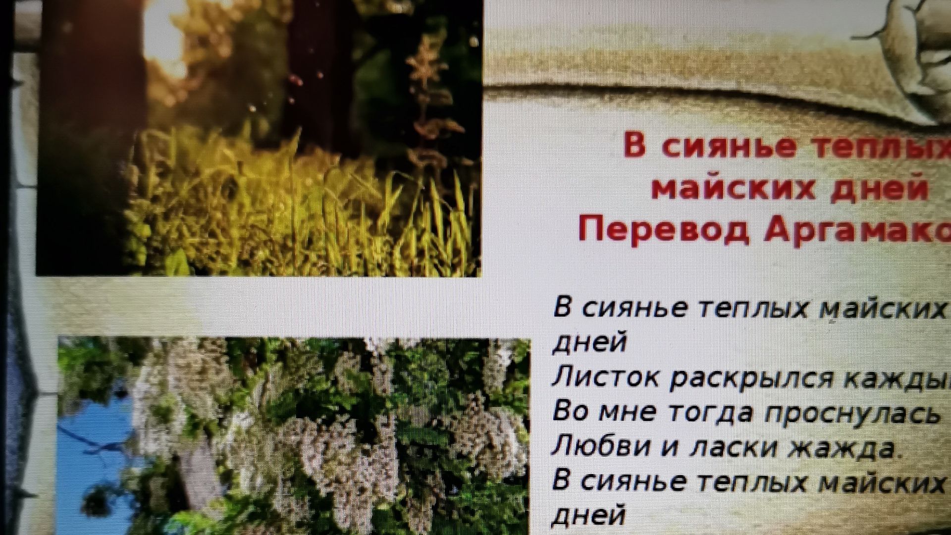 Любви и ласки жажда.. в сиянье тёплых майских дней