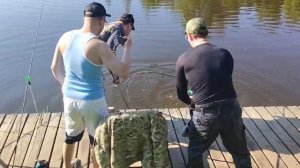 Осётр на селёдку