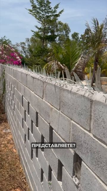 Битое стекло на заборе, видели такое?