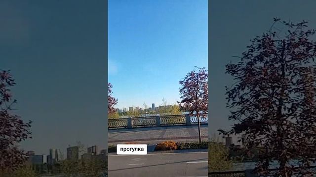 Рубрика Широка красота