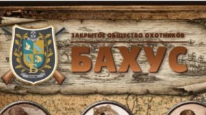 Передовой опыт охоты на вальдшнепа