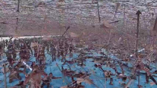 220 000 супер-лучников против 600 000 рыцарей-джедаев