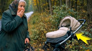 ОНА УВИДЕЛА БРОШЕННУЮ КОЛЯСКУ У ЛЕСА… А КОГДА ЗАГЛЯНУЛА ВНУТРЬ — ОНЕМЕЛА ОТ УЖАСА
