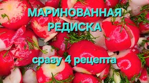 Маринованная редиска. Очень вкусный маринад. Сразу четыре рецепта