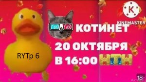 Дурnet RYTP 6