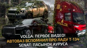 «Параллельный» русский автопром: Volga, Senat, Lada Niva 3, МАЗ из КамАЗа 📺 «Новости недели» №365