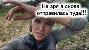 Не зря я снова отправилась туда! Золото и обломы лесных  дорожек