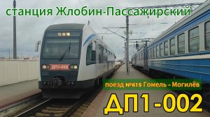 Дизель-поезд ДП-02 на станции Жлобин-Пассажирский