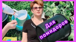 Чем подкормить помидоры🍅