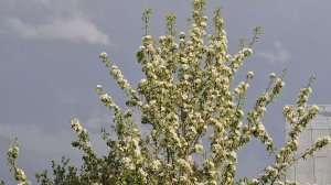 Красота природы.