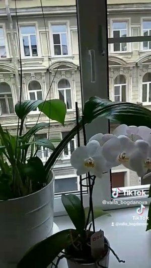 коммуналка )