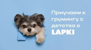 LAPKI 2
