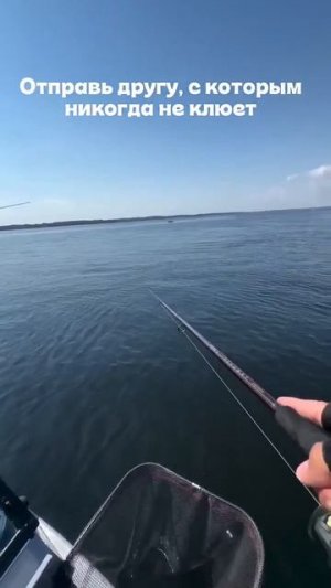 Видео от За Трофеем: Охота и Рыбалка