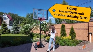Баскетбольная стойка Wallaby X100 - баскетбольное кольцо для дома и улицы